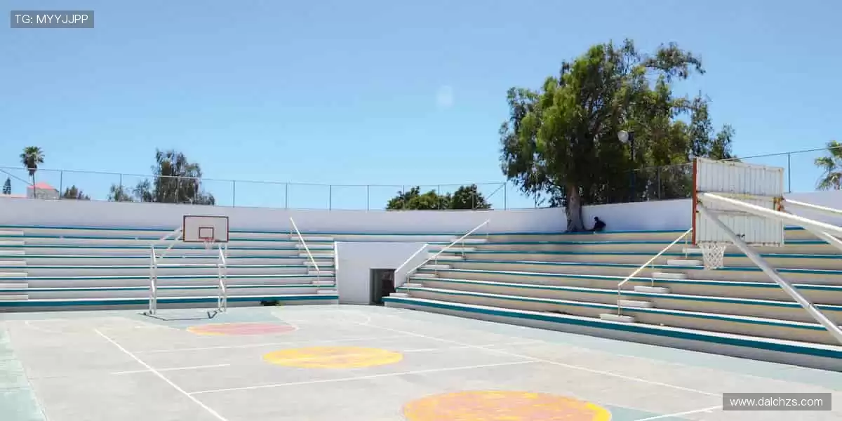 💻多屏同步，随时畅看！⚾️ 体育直播，让热爱无缝衔接！